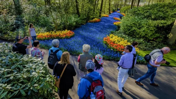 Keukenhof - adminkost