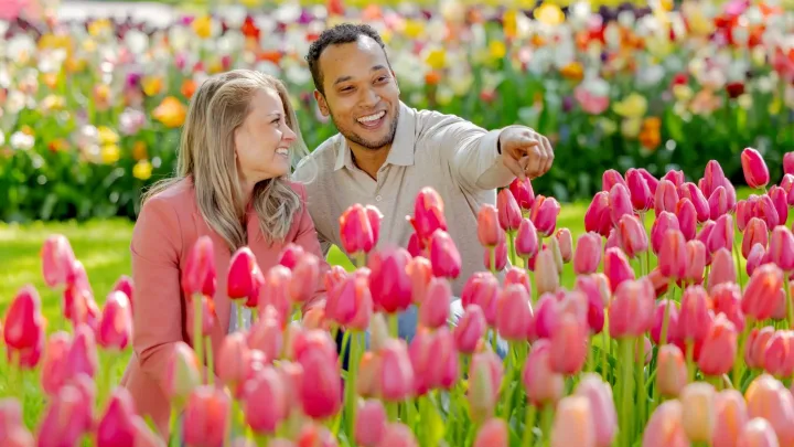 Keukenhof - volwassenen